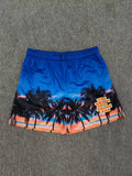 Eric Emanuel EE Sunset Palm Tree Beach Print Mesh Short